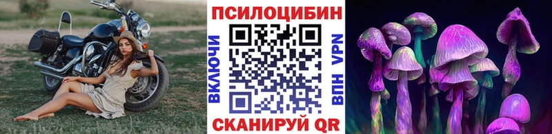 Псилоцибиновые грибы Psilocybine cubensis  Купить закладки  Сасово 