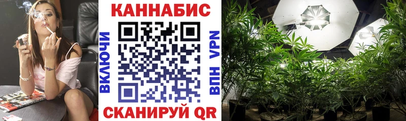 Каннабис Ganja  Купить закладки  Сасово 